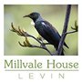 Millvale House Levin