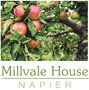 Millvale House Napier